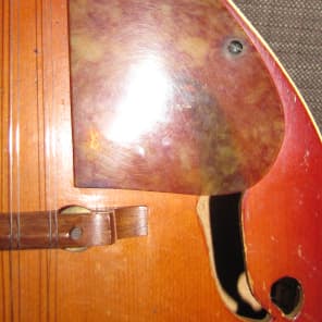Kay K-73 A-Style Mandolin 1946 Cherry Burst Arched Top/Back image 9