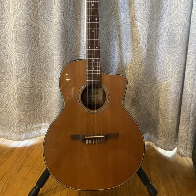 Takamine PT100SP | Reverb