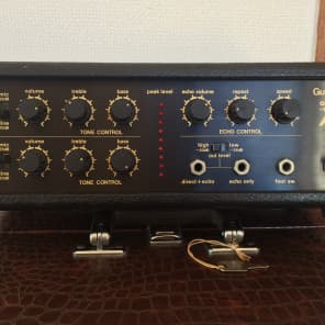 *値下げ* Guyatone AE-5 analog echo Vintage 1980 Guyatone Analog echo AE-5 - Better than a Roland DC-20