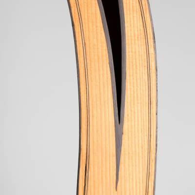 Luigi Mozzani  Lyre Harp Guitar,  c. 1905, ser. #111, black hard shell case. image 15