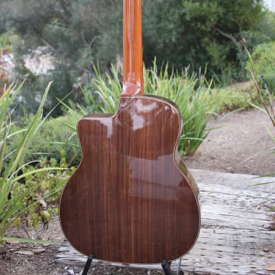 Altamira Maccaferri D nylon strings 2023 - Nitro Lacquer image 4