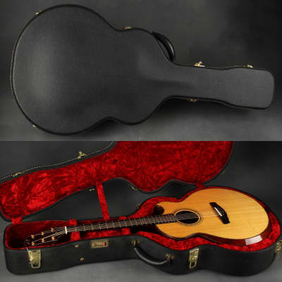 Ryan Cathedral Grand Fingerstyle - Sitka Spruce & Indian Rosewood 2003 *VIDEO* image 25