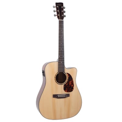 Recording King RD-310, Solid Adirondack and Mahogany | Reverb