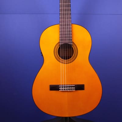Yamaha CGX102 Classical Guitar image 2