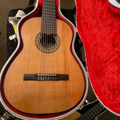 Daniel Mendes Eight String Guitar 2018 Cedar / Brazilian Rosewood image 14