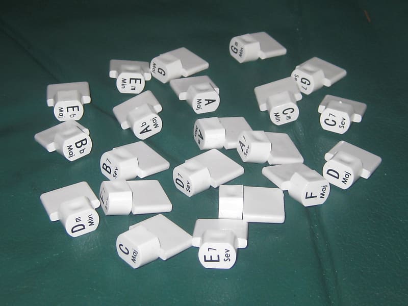 Oscar Schmidt Autoharp Buttons for 21 Chord Full Set Reverb