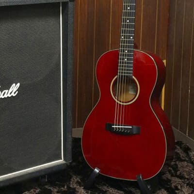 TAKAMINE T Series T-P2 See through Red PARLOR type body 630mm scale w/case  | Reverb The Netherlands