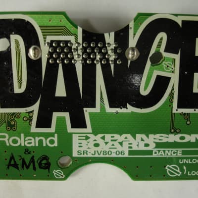 Roland SR-JV80-06 Dance Expansion Board