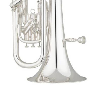 Shires q41 store euphonium