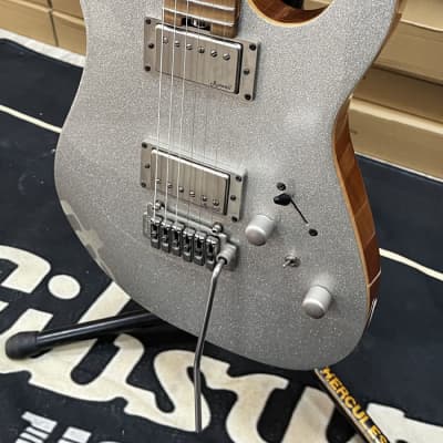Harley Benton Pro Series Fusion II HH Roasted in SSP Roasted silver sparkle electric guitar for sale