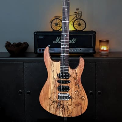Canalli Spalted SS, MBit Custom Shop, Reclaimed / Exotic Woods, Stainless Steel Tremolo Bridge, Hand-wound Pickups, Brazilian, Superstar Style image 2