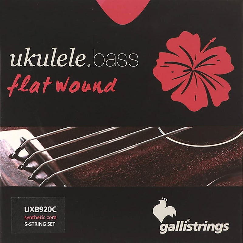 Galli Strings KABASS5FW Flatwound Strings for 5String Reverb UK
