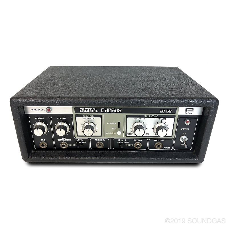 Roland DC-50 Digital Chorus *Soundgas Serviced*