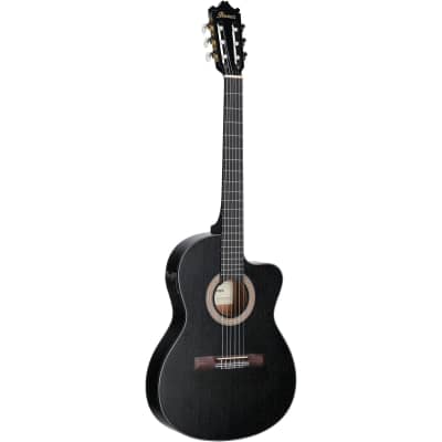 Ibanez GA5MHTCE Classical Acoustic-Electric Guitar, Weathered Black image 2