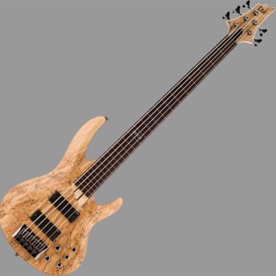 ESP LTD B-205SM Fretless Bass Guitar in Natural Stain Finish image 1