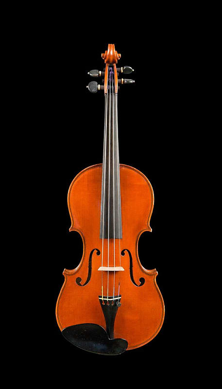 D Z Strad Violin Model 800 Full Size 4/4 (includes Dominant Strings, Bow, Case and Rosin) (Full Size image 1
