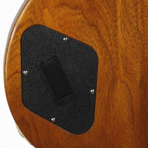 2017 Gibson Les Paul Traditional Pro Vintage Sunburst Electric Guitar image 4