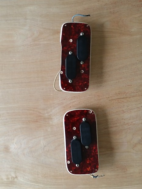 Electric xii pickups online