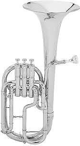 Sovereign tenor horn discount