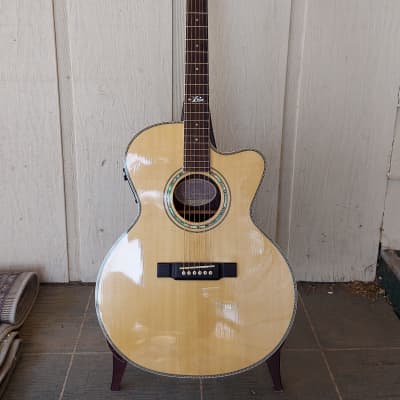 Aria Sandpiper SP-DLXN 2002 Acoustic Electric Shallow Cutaway Limited Edition image 2