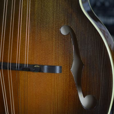 Lebeda F5 Standard+ Mandolin 2005 - Tobacco Sunburst image 21
