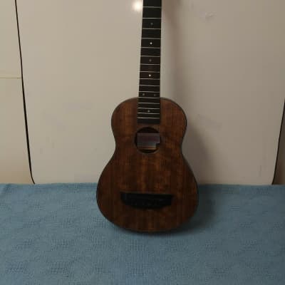 Hadean Acoustic Electric Left-Handed Bass Ukulele UKB-23L Body Project/Repair image 1