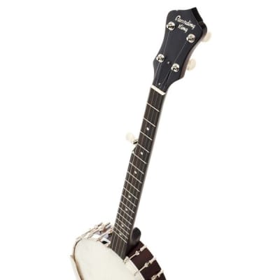 Recording King OT25-BR "Madison" Open Back Banjo, Scooped Fretboard. New with Full Warranty! image 10