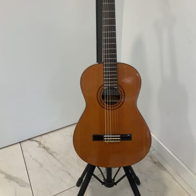 Vintage Pearl Guitar 