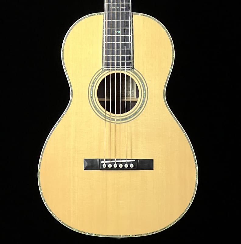 Recording king 12 fret discount