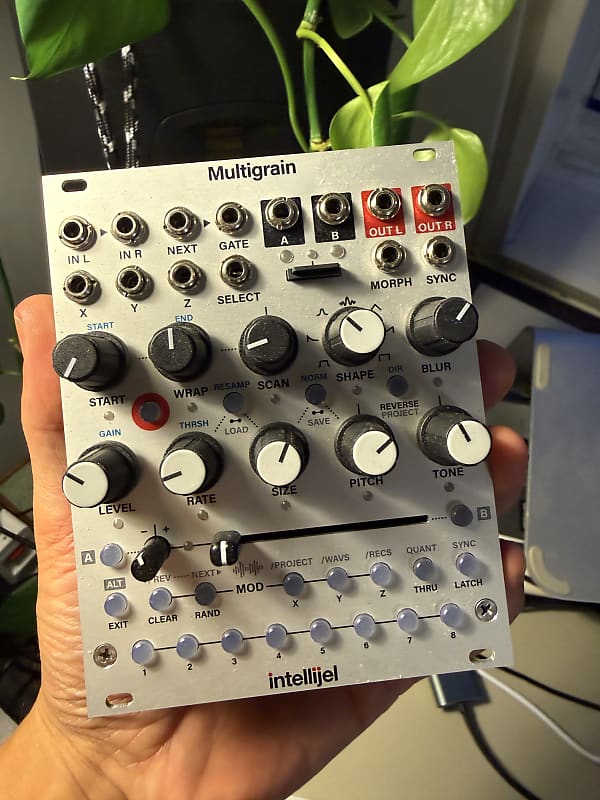 Intellijel Multigrain