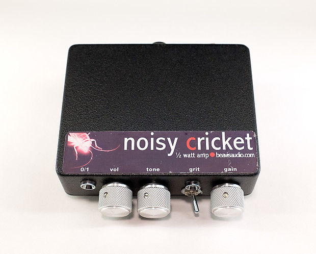Cricket amp cheap