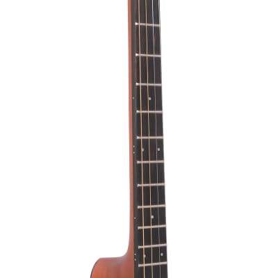 Gold Tone TG-10 Mahogany Neck 4-String Acoustic Tenor Guitar with Gig Bag image 8