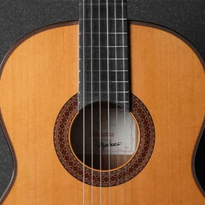 Alhambra 7 P Classic Acoustic Guitar (BF23) image 5
