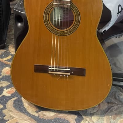 Washburn C80S Acoustic Guitar for sale