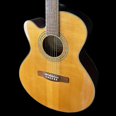 Adam Black M-10 LH Electro Acoustic Guitar image 4