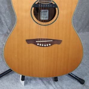 Wechter Pathmaker 3120 acoustic electric guitar with gigbag
