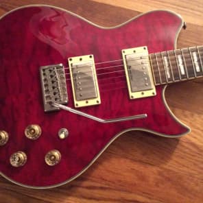 レア】Washburn WI-66V コイルタップ Grover セットネック 楽器