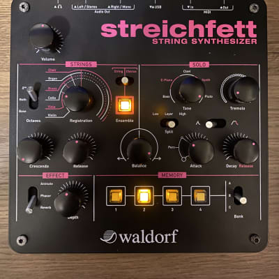 Waldorf Streichfett String Synthesizer 2019 - Present Black