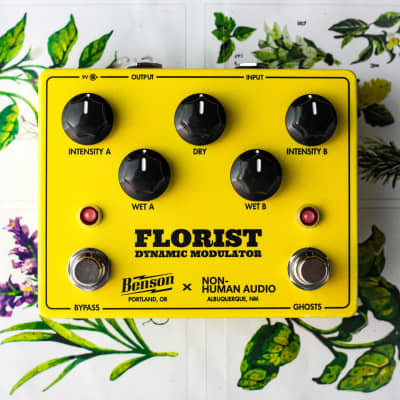 Benson Florist Dynamic Modulator Yellow Colorwave Effects Pedal image 4