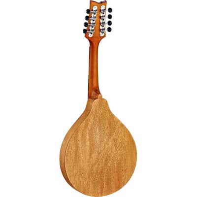 Ortega RMA5NA A-style mandolin, natural image 2