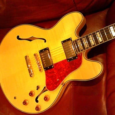 KARERA 335-Style Semi-Hollow Body Electric Guitar *BEAUTIFUL with WARM-TONE & *FREE Hard-Shell Case!!! image 19