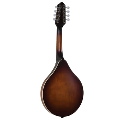 The Loar LM-110-BRB | Honey Creek A-Style Mandolin. Brand New! image 11