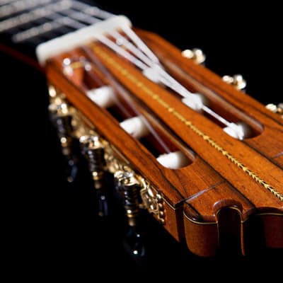 Manuel Contreras 10th Anniversary Premium Series 2008 Classical Guitar Cedar/CSA Rosewood image 5