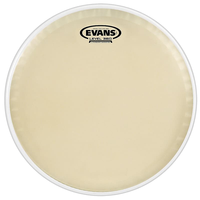 Evans CT14SS Strata Staccato 1000 Concert Snare Drum Head - 14" image 1