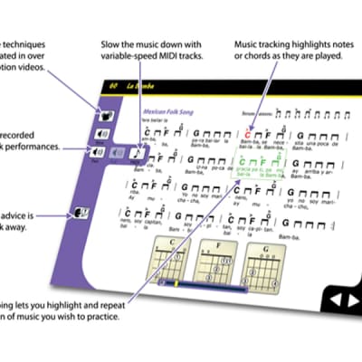 eMedia Guitar For Dummies - PC (Download) image 2