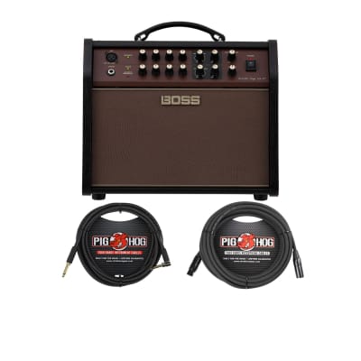Used: Boss Acoustic Singer Live LT- 40w Acoustic Amplifier – Flipside Music