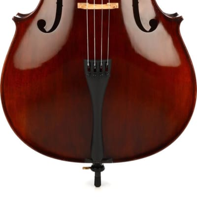 Eastman VC305 Andreas Eastman Intermediate Cello - 4/4 Size for sale