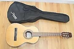 Jasmine by Takamine js141 acoustic guitar natural