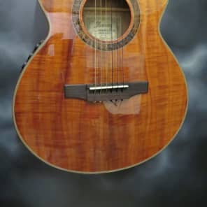 2011 Ibanez EWN28KOE-NT, Koa acoustic/electric thinline