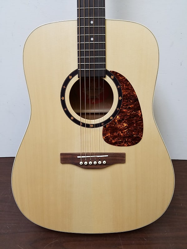 New Norman/Godin Encore B20 Acoustic Guitar